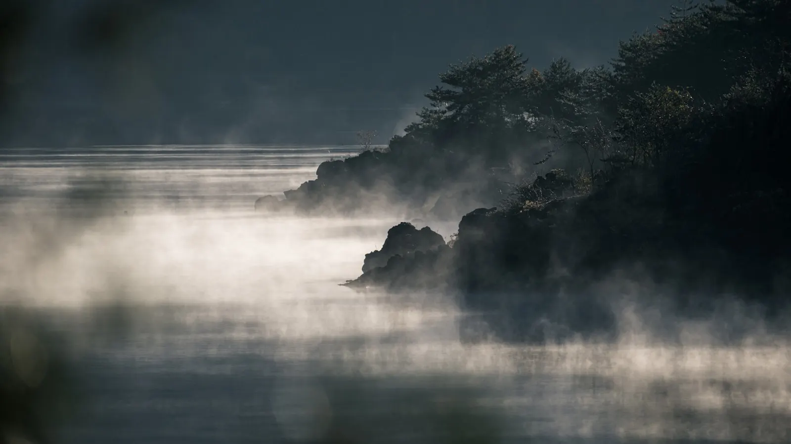 Mist rising over still water at dawn beneath silhouetted trees